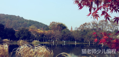 打造理想团队